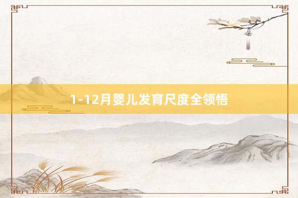 1-12月婴儿发育尺度全领悟