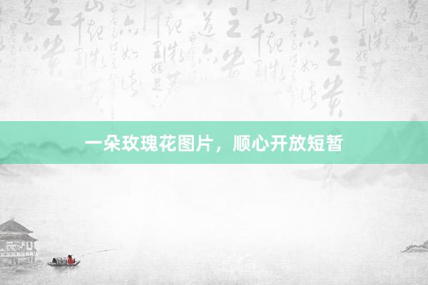 一朵玫瑰花图片，顺心开放短暂