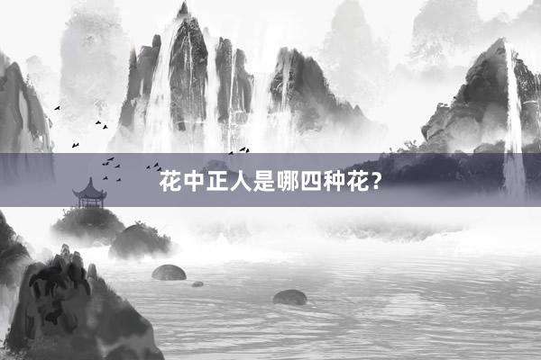 花中正人是哪四种花？